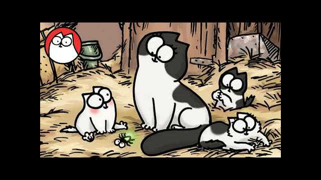 Cat and Kitten Origins - Special Double Bill