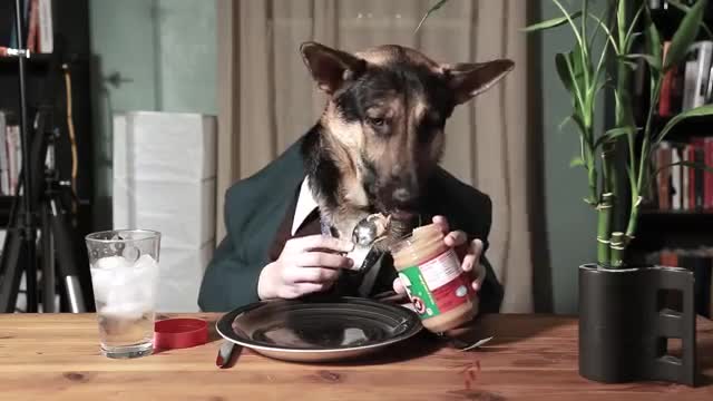 Odin Eating Like a Person