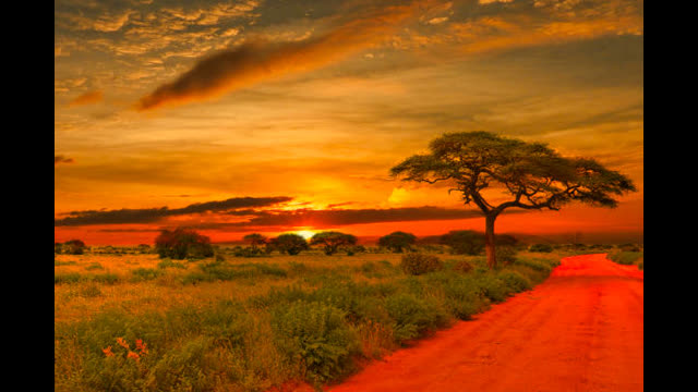 The Alkebulan awakened in me in the Diaspora